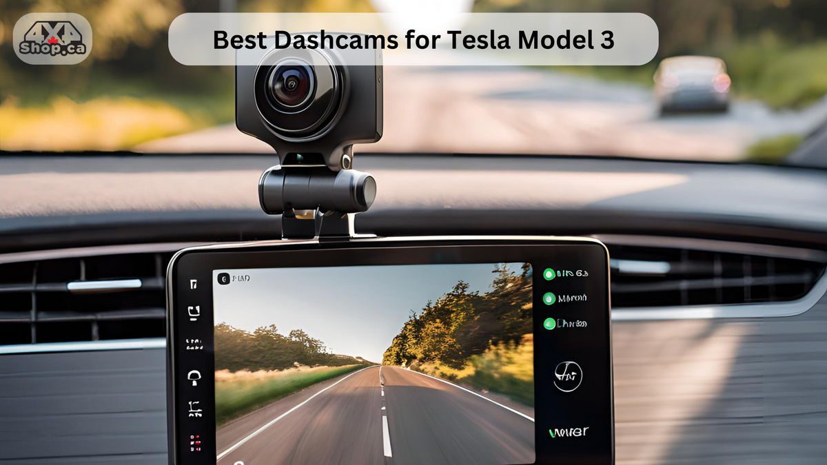 Tesla Camera Count Tesla Dash Cam Download: Quelle Caméra Pour Tesla – MZGUZ
